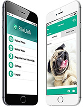 FileLink