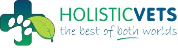 Chase Dargaville - The Holistic Vets, Bay of Plenty, New Zealand