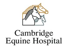 Steven Christopher - Veterinarian at Cambridge Equine Hospital, Cambridge, New Zealand
