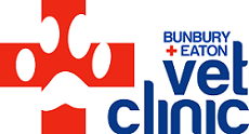 Josie Hobbs & Joe Cockerill - Bunbury Vet Clinic, WA, Australia