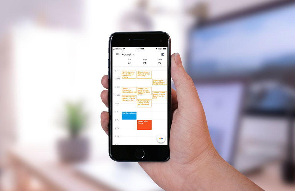 Syncing VetLinkSQL Appointments to your Google Calendar