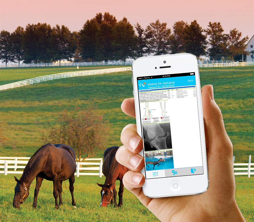 Stock Management at Cambridge Equine Hospital: A Case Study