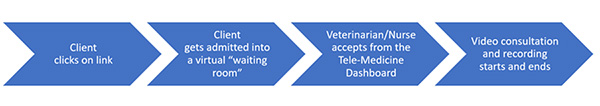 Tele-Medicine Work Flow - Consultation