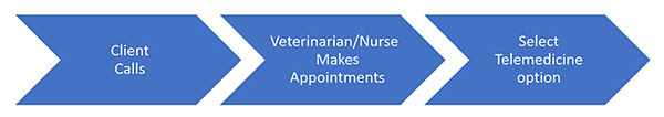 Tele-Medicine Work Flow - Consultation